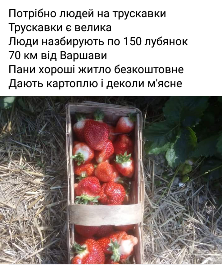 Скан объявления