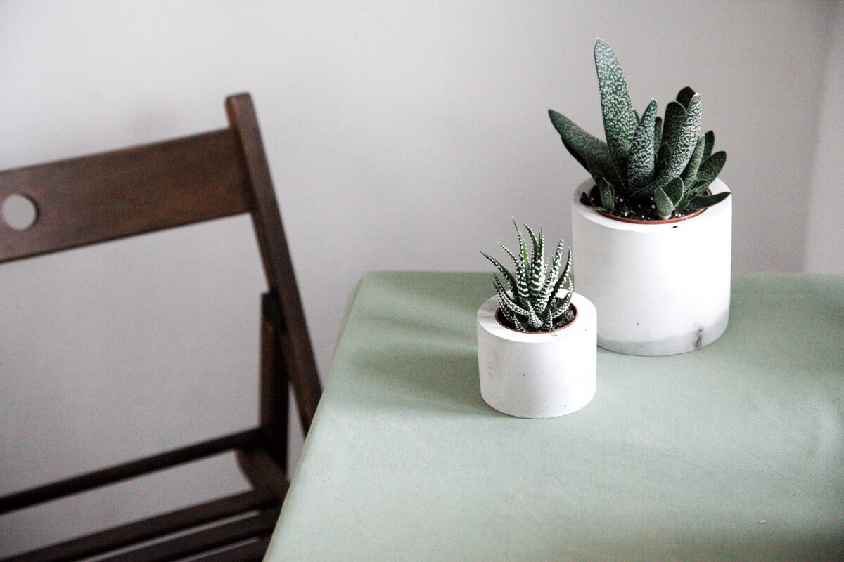 
"Я очень люблю архитектуру, особенно  модернизм. Его бетонные формы и внутренние пространства будто были созданы для растений, поэтому для меня это неразделимые вещи. Этот симбиоз, если так можно выразиться, со мной всю мою жизнь".