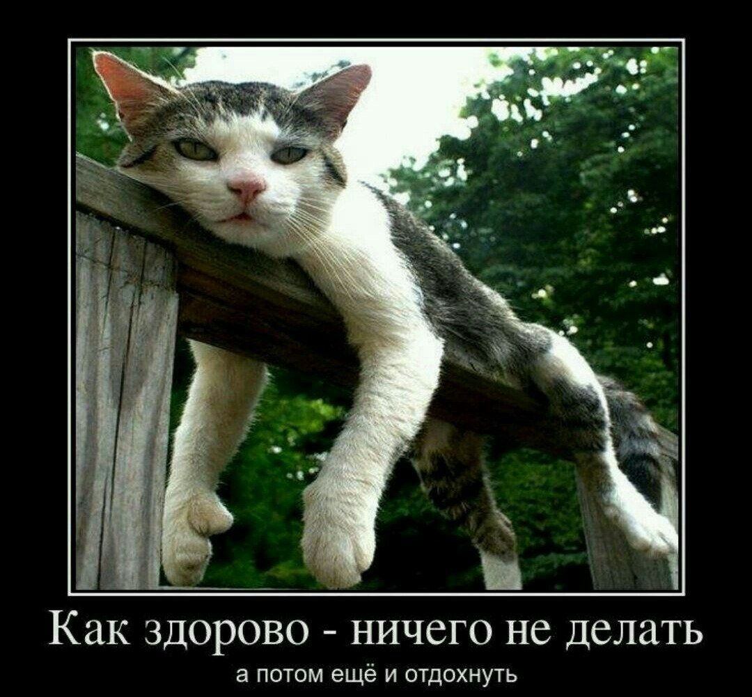 Фото из картинок yandex.ru