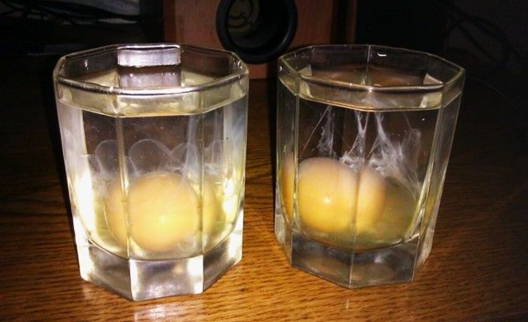 Расшифровка яиц в стакане
