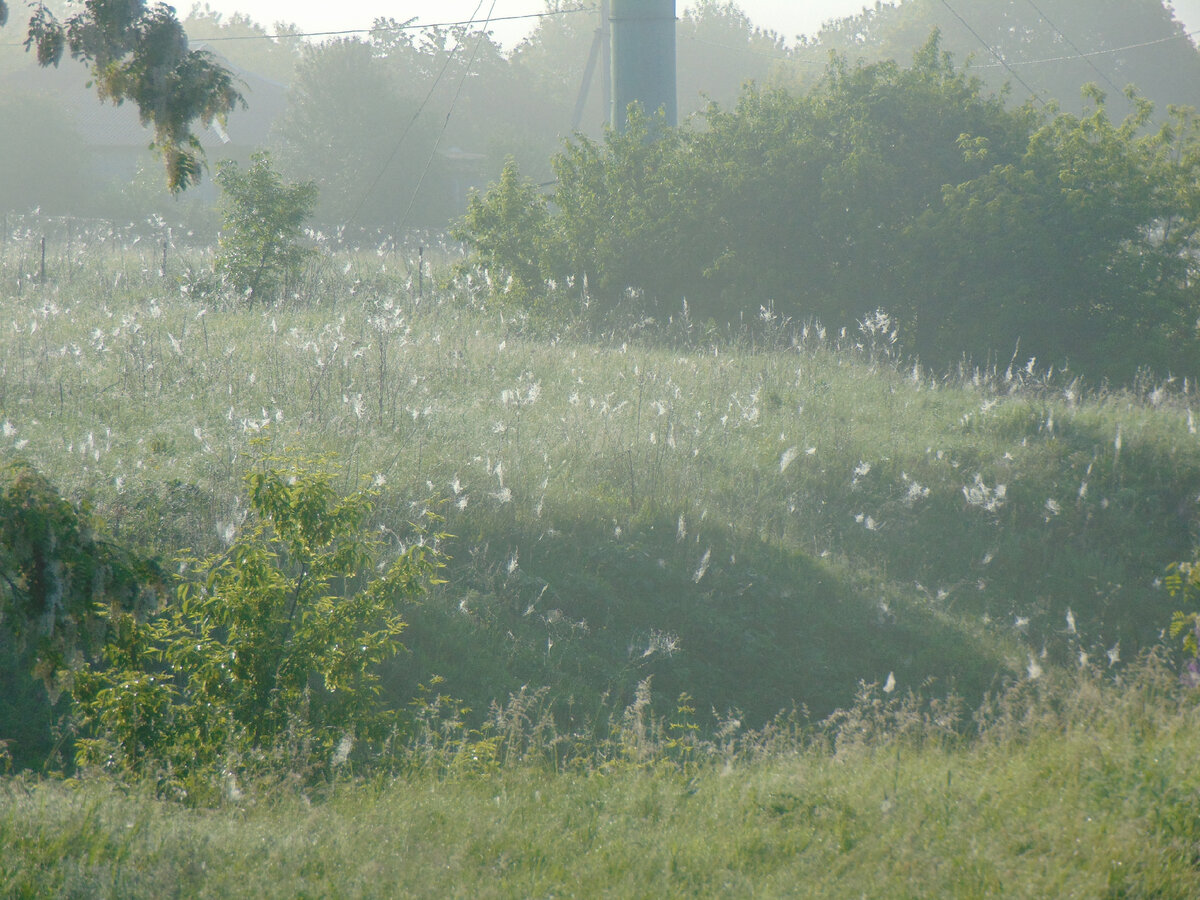 Фото автора канала