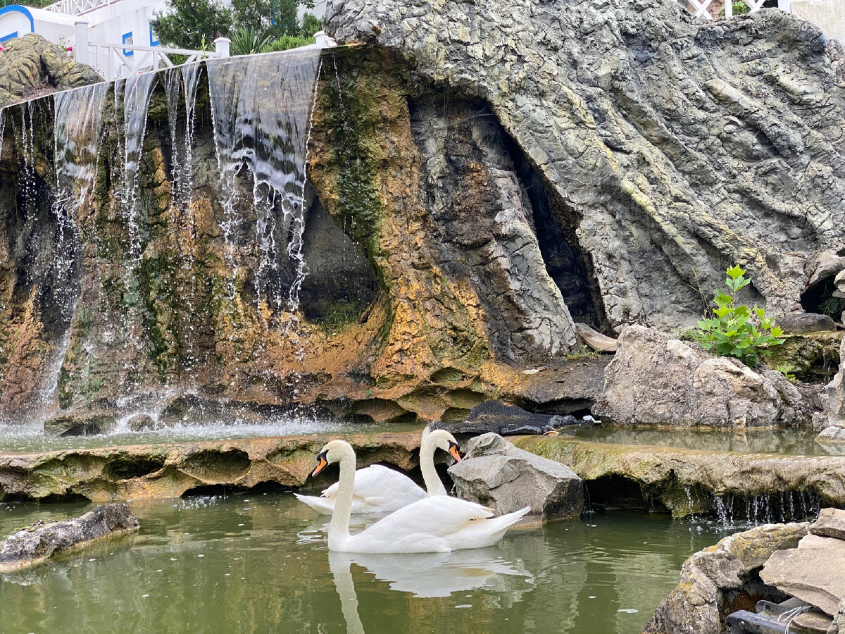 Фото автора: Россия, Крым, Алушта, park- hotel PORTE MARE.