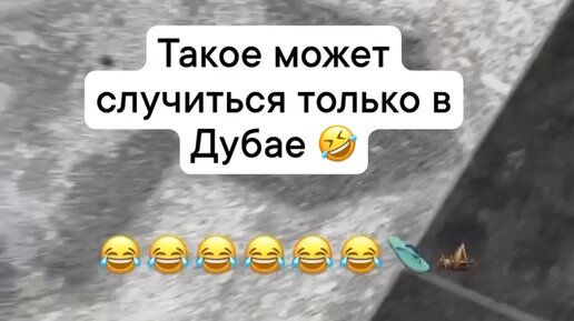 Полный дзен | Ролики — короткие видео
