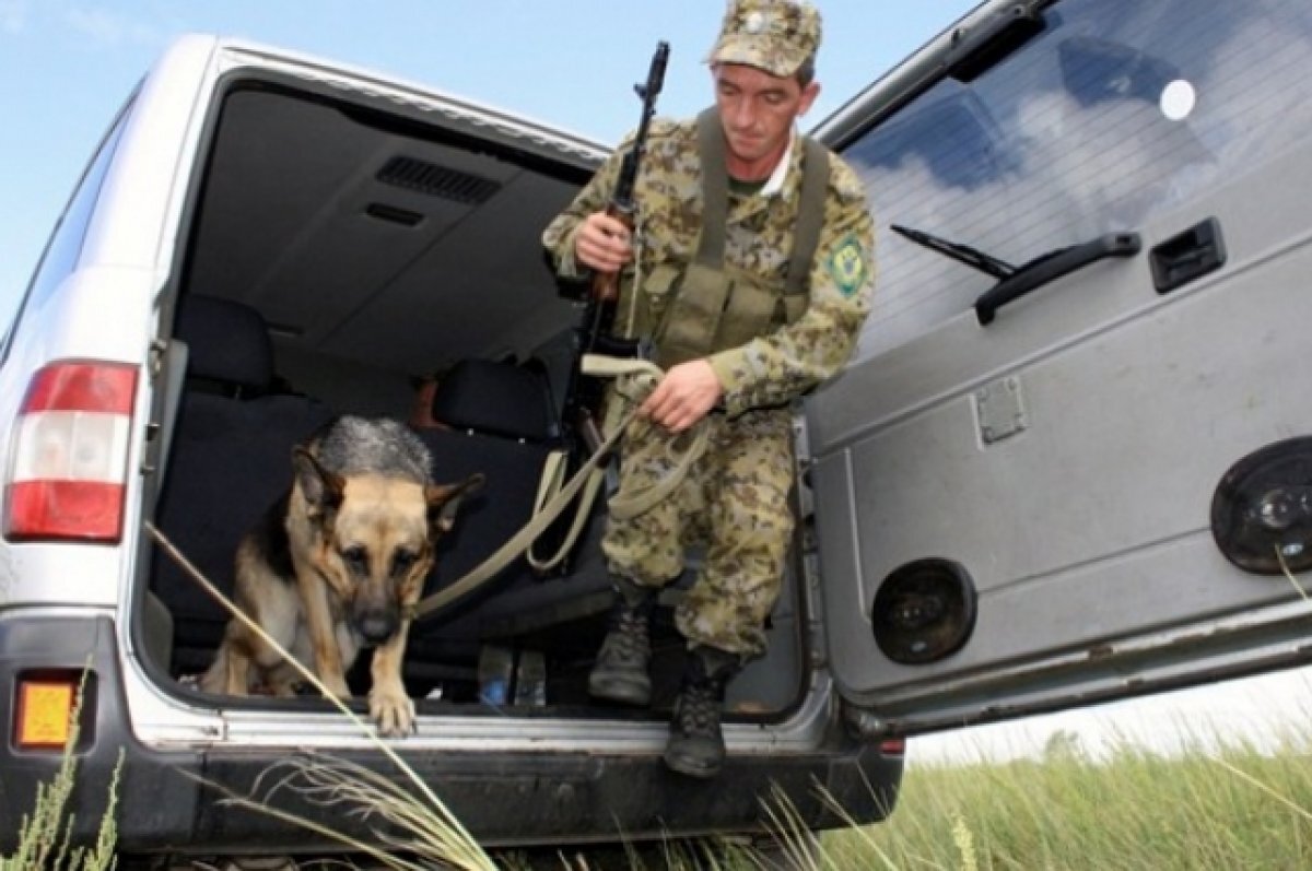    Пограничники задержали двух эстонцев, пересекших границу России
