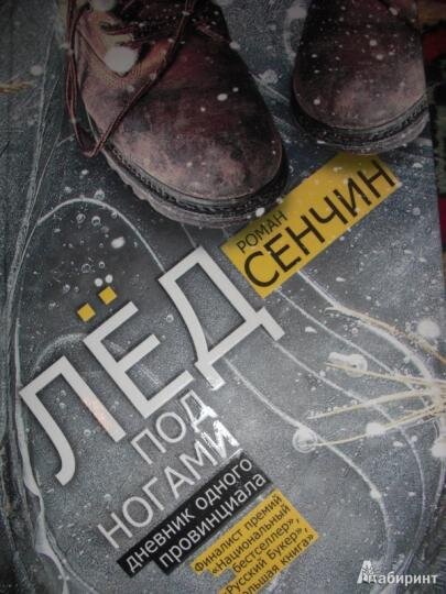 Обложка книги, взято отсюда: https://www.labirint.ru/books/248380/