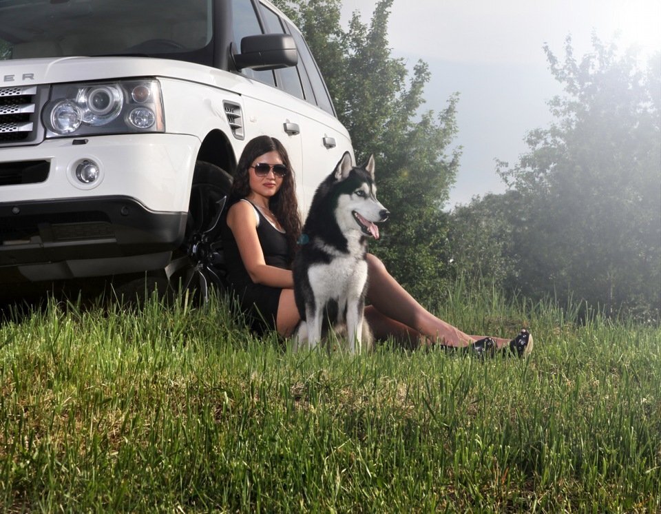 Собака с БМВ фотосессия