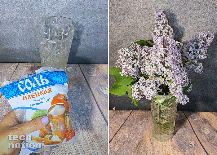 Добавляю соль в вазу к цветам Добавьте описание / Изображение: дзен-канал technotion