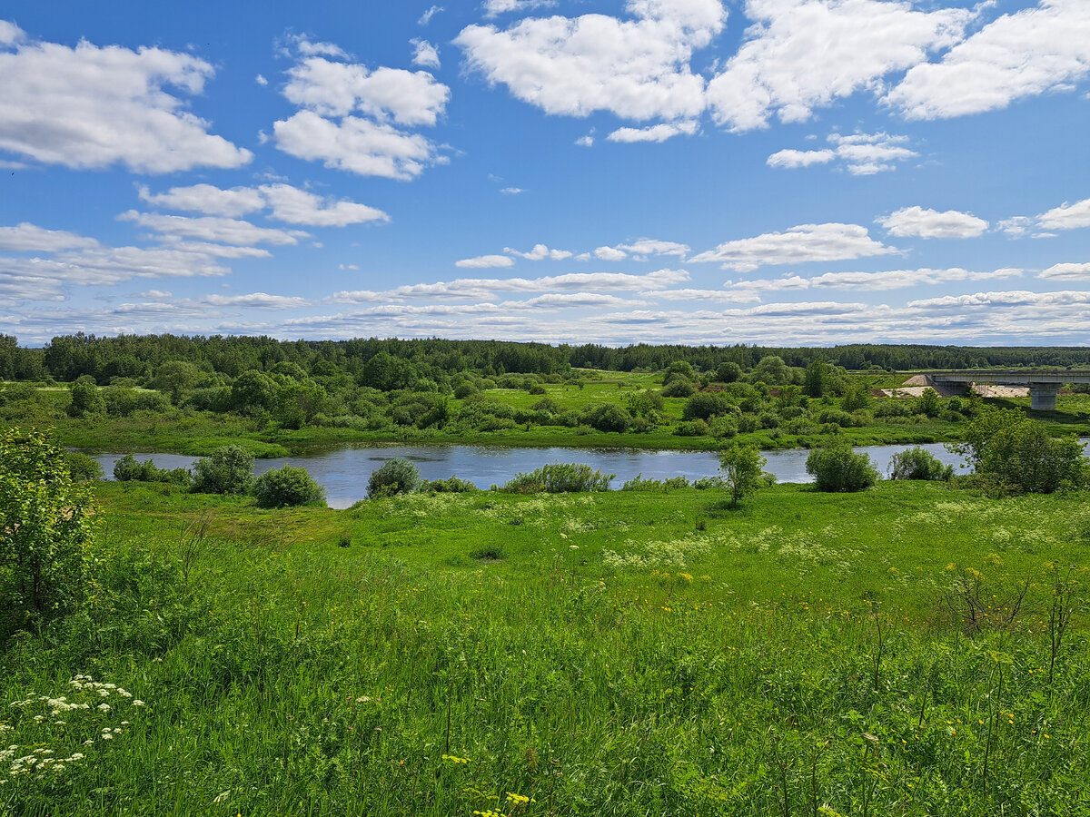 Окрестности села Кидекша (фото автора, 2023 год)