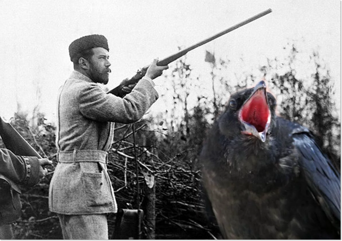 Хозяин земли русской, гроза чаек, ворон и кошек... | Лев Валерич | Дзен