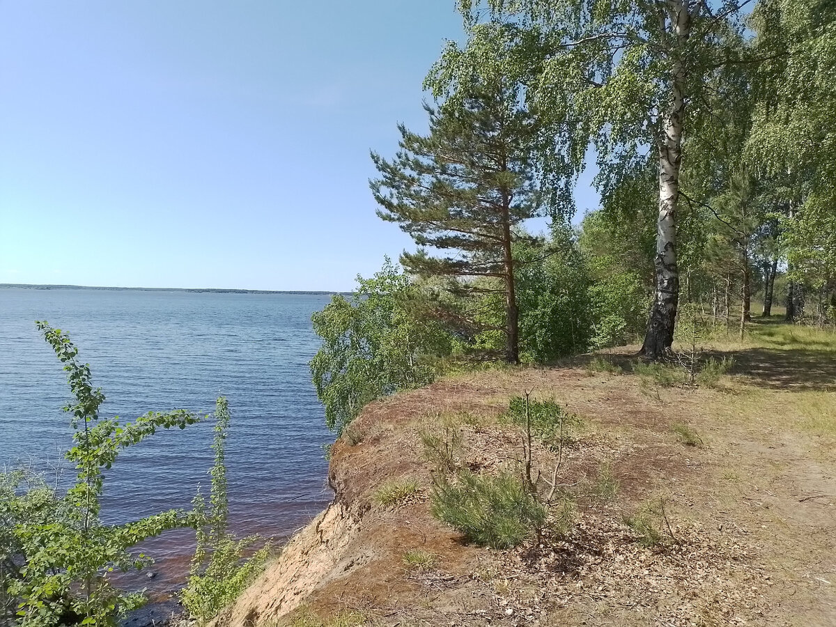 рыбинское водохранилище отдых с палатками