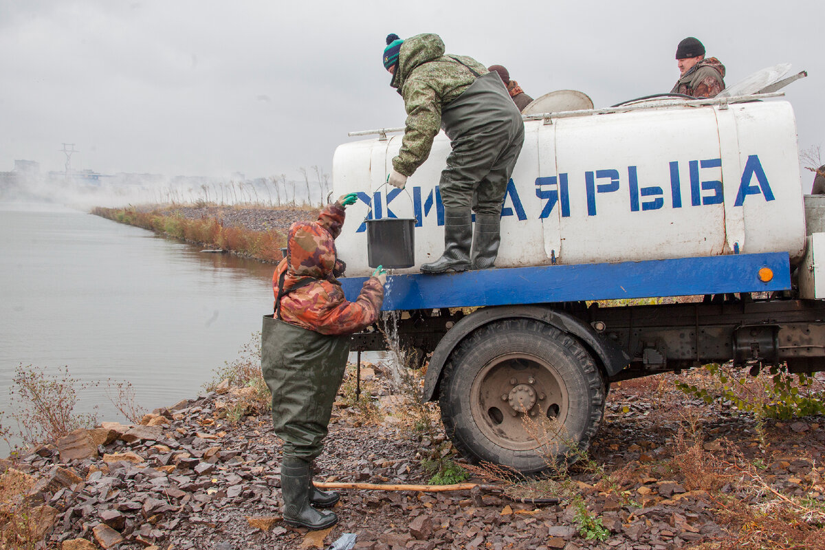 Что делает ММК для сохранения Магнитогорского водохранилища ...