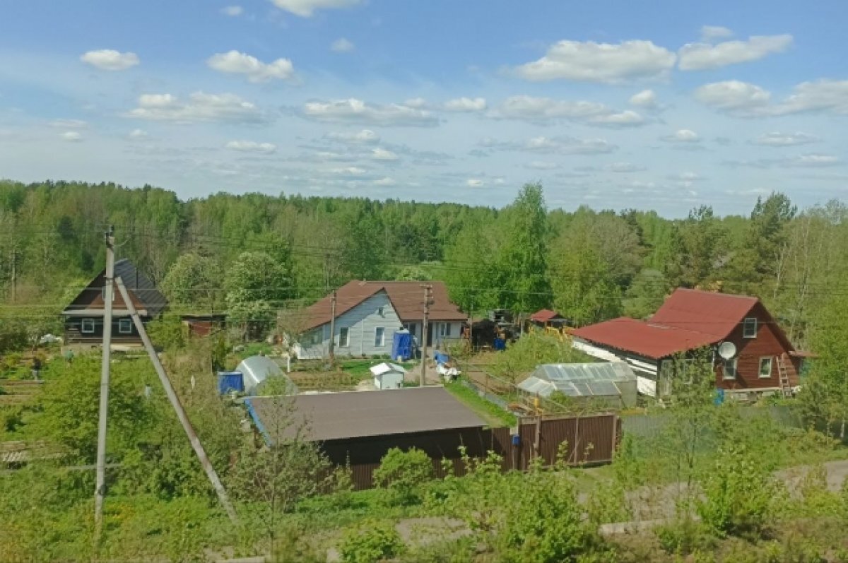    Полиция задержала 38-летнего чебоксарца по подозрению в серии дачных краж