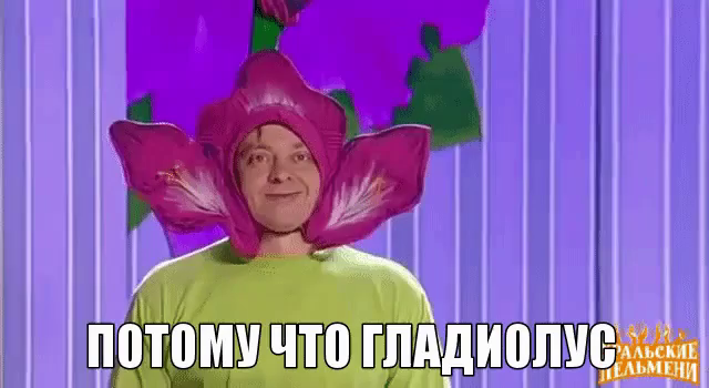 Картинка потому что гладиолус