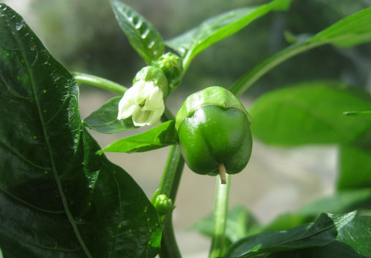 фото взято из открытых источников