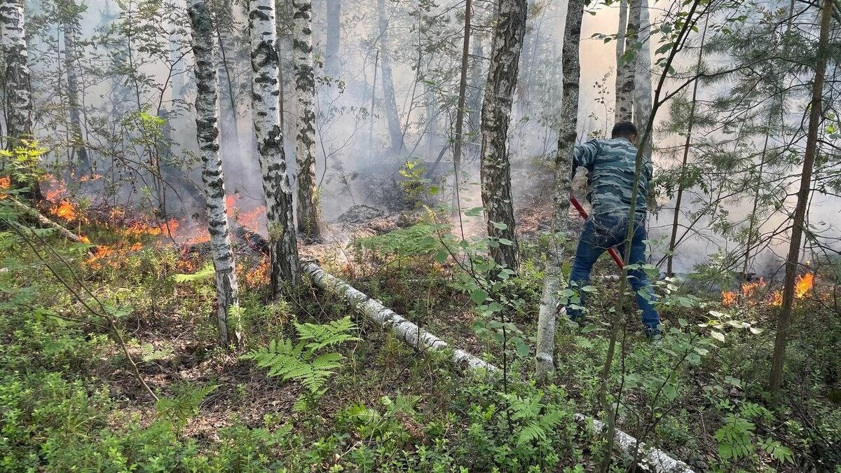     Торфяной пожар второй день не могут потушить в Балахнинском округе Нижегородской области. Поэтому местная администрация приняла решение ввести режим повышенной готовности.
