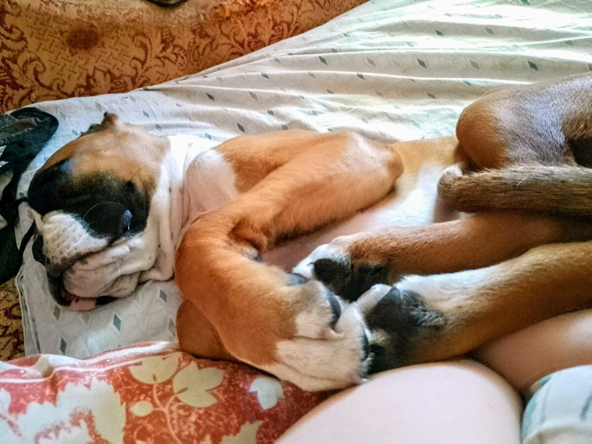 Персефона Сергеевна релаксирует после терапии