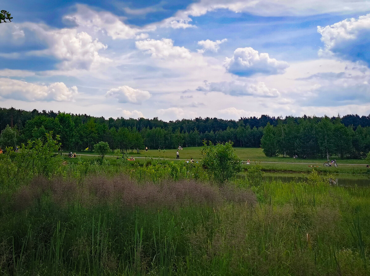 Мещерский парк. Фото автора 