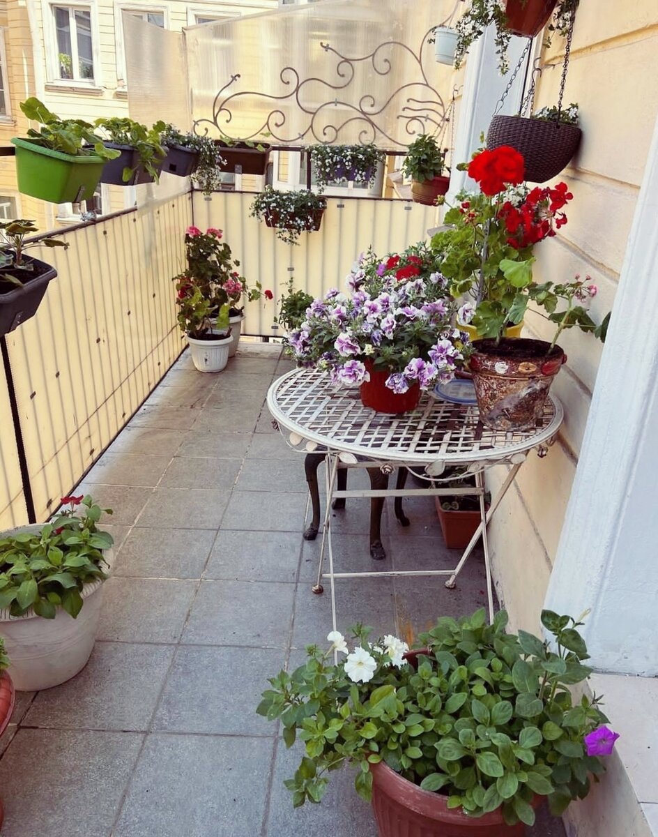 Цветы на застекленном балконе - 74 фото