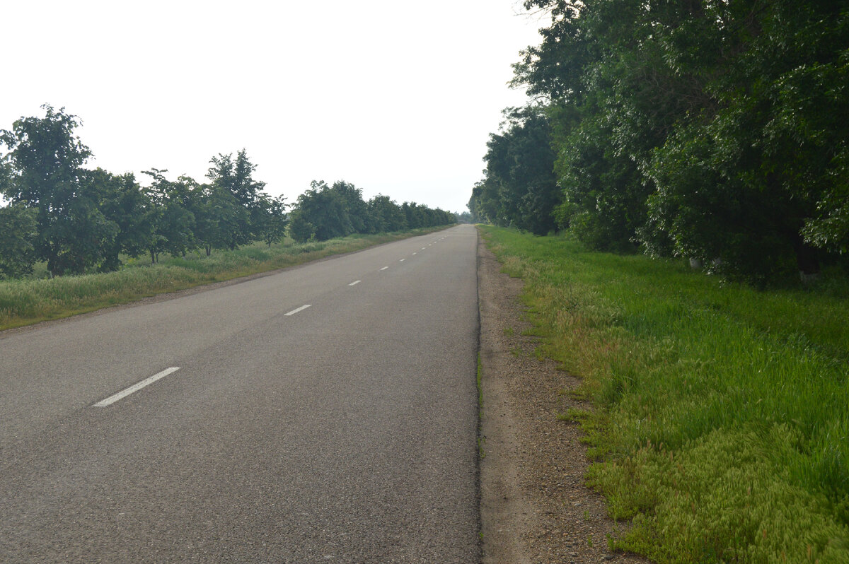 Фото автора. 17.06.2023. Дорога к дому.