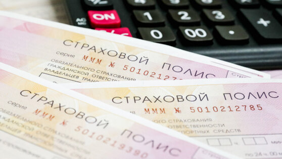    СМИ: в России хотят ввести аналог "Зеленой карты" для дружественных стран Ирина Петрова