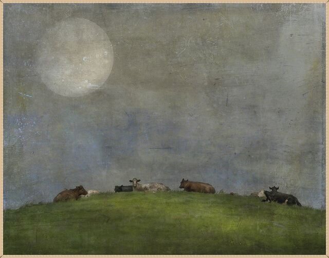 © Джейми Хайден (Jamie Heiden). 