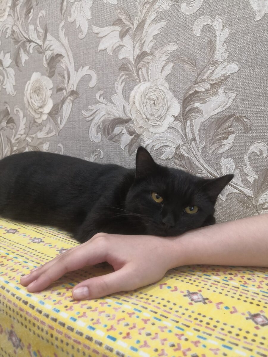 В раздумьях.. 