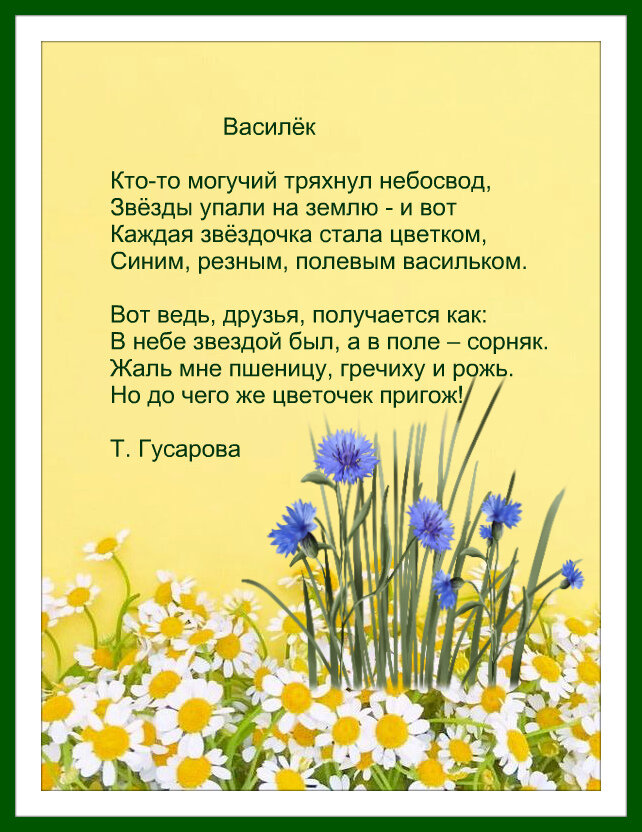 Подари ей весну - букет из белых тюльпанов и красных роз