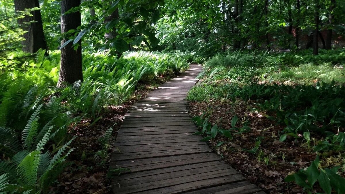    Лыжную базу «Дубравная» в Казани перенесут в другое место. В новом зимнем сезоне она будет работать, заверили городские власти. Ответ появился в Telegram-канале Вахитовского и Приволжского районов.