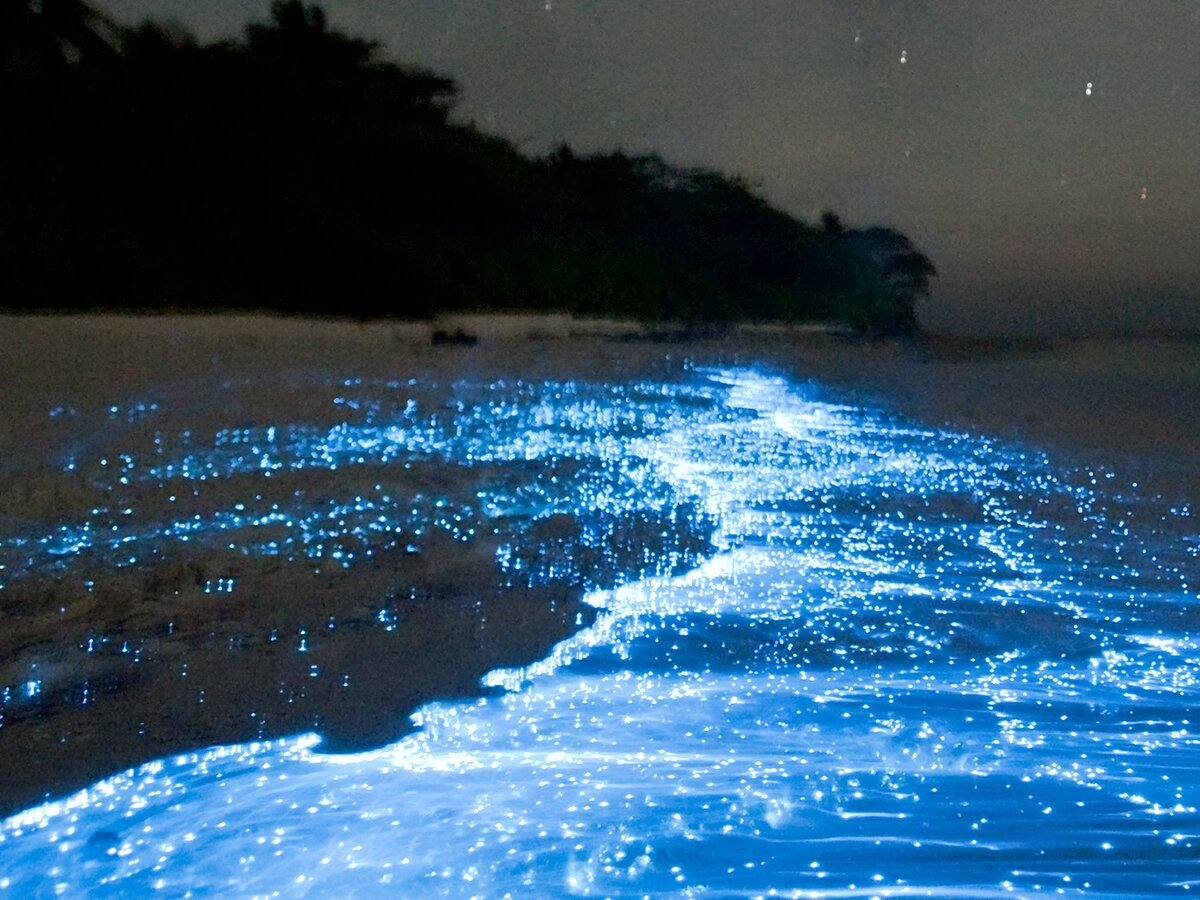 Источник www.storyblocks.com