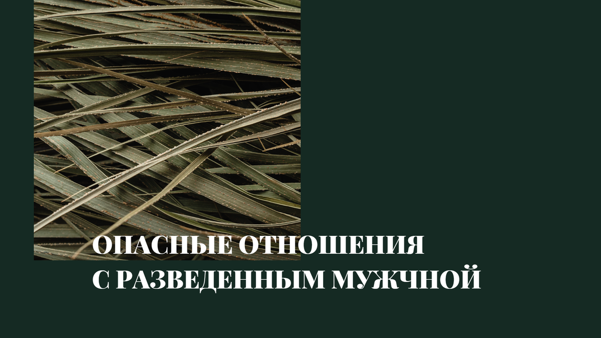 Разница холостого и разведенного мужчины: короткая и длинная дистанция