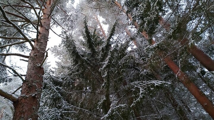 ФОТО: MAKSIM KONSTANTINOV/GLOBALLOOKPRESS