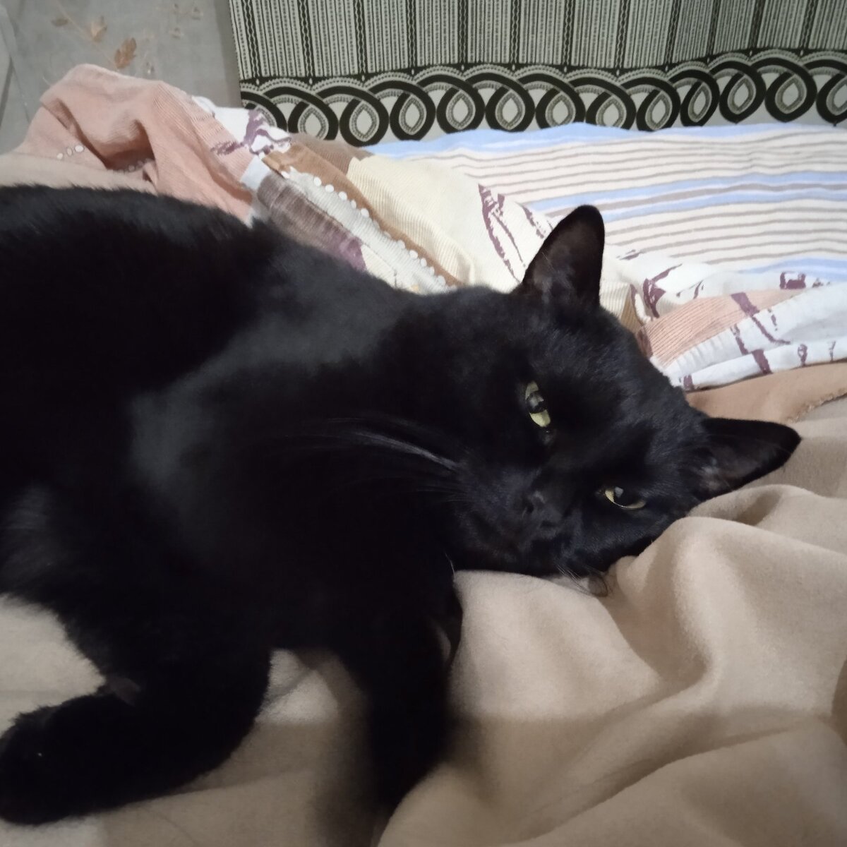 Фото автора. 