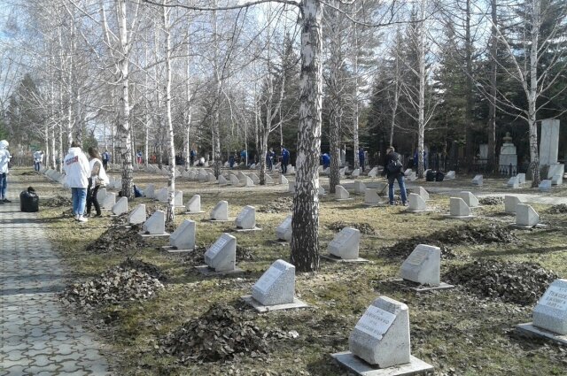    Ежегодная акция в преддверие майских праздников. Фото: Волонтёры Победы