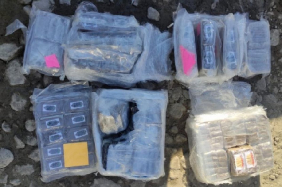    В Новосибирской области задержали москвича с 18 килограммами гашиша