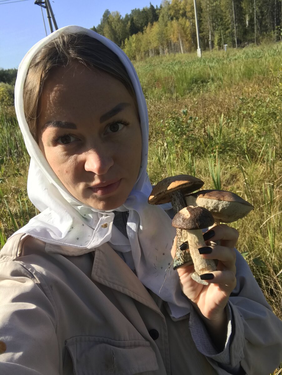 Грибы в Архангельской области.
