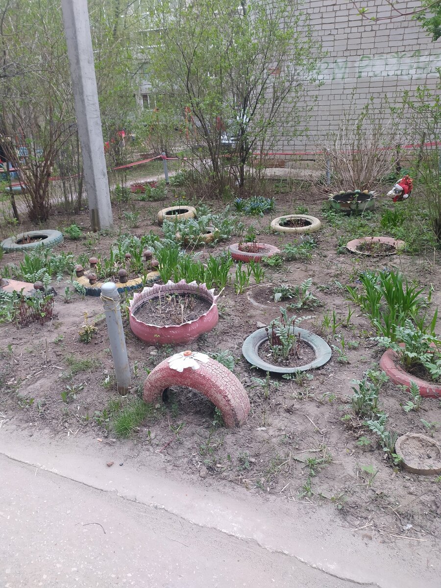 Цветники из автопокрышек – спорный, небезопасный, но пока единственный массовый способ утилизации использованных шин в рязанских дворах. Фото читателя