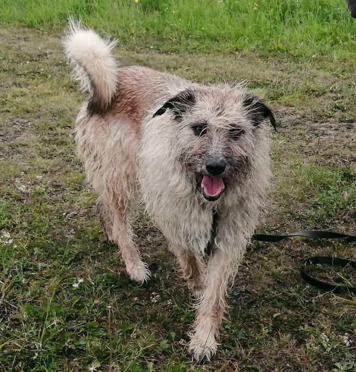 Милая , трогательная Бася 