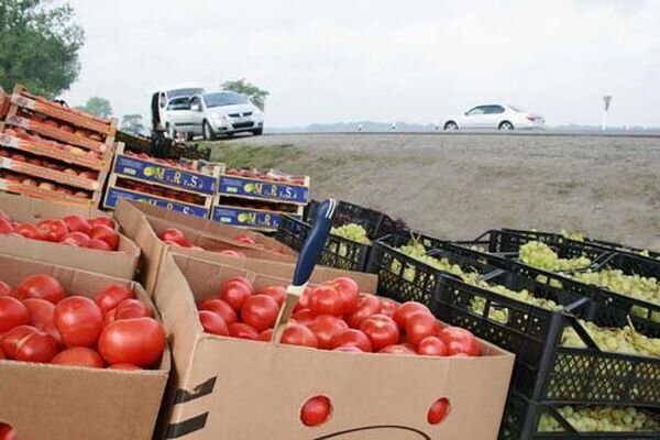 Источник фото: Новочеркасск.нет