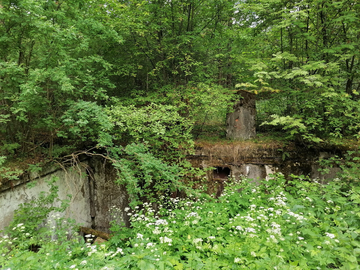 Остатки оснований башен батареи