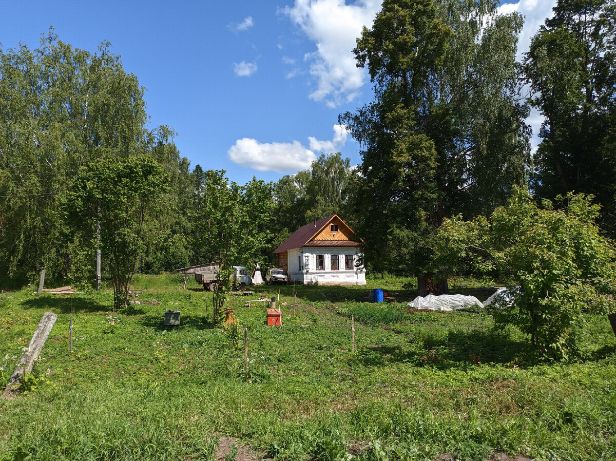 Вятский хутор дзен. Михаил буторин вятский хутор. Вятский хутор последние. Михаил буторин вятский хутор. Вятский хутор последние видео 2023.