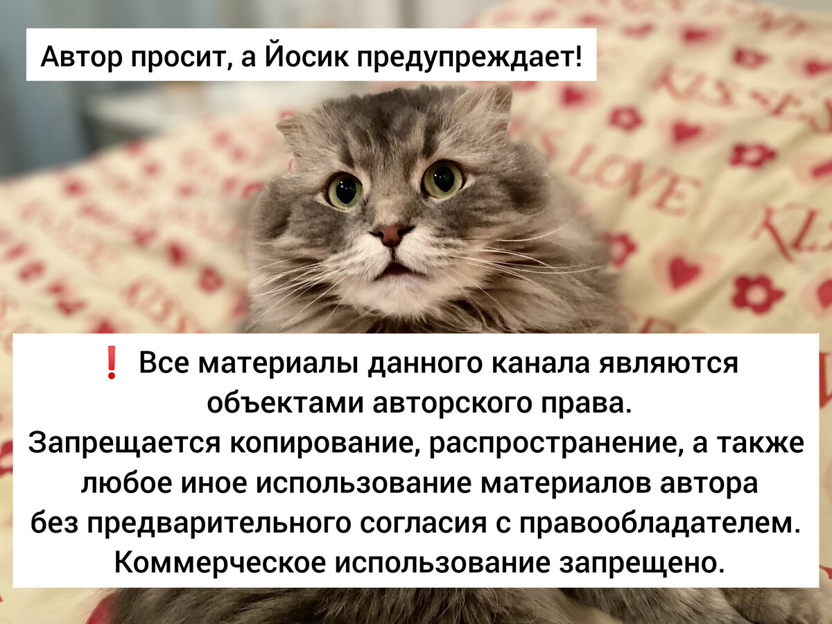 Не откажите милому котейке❤️