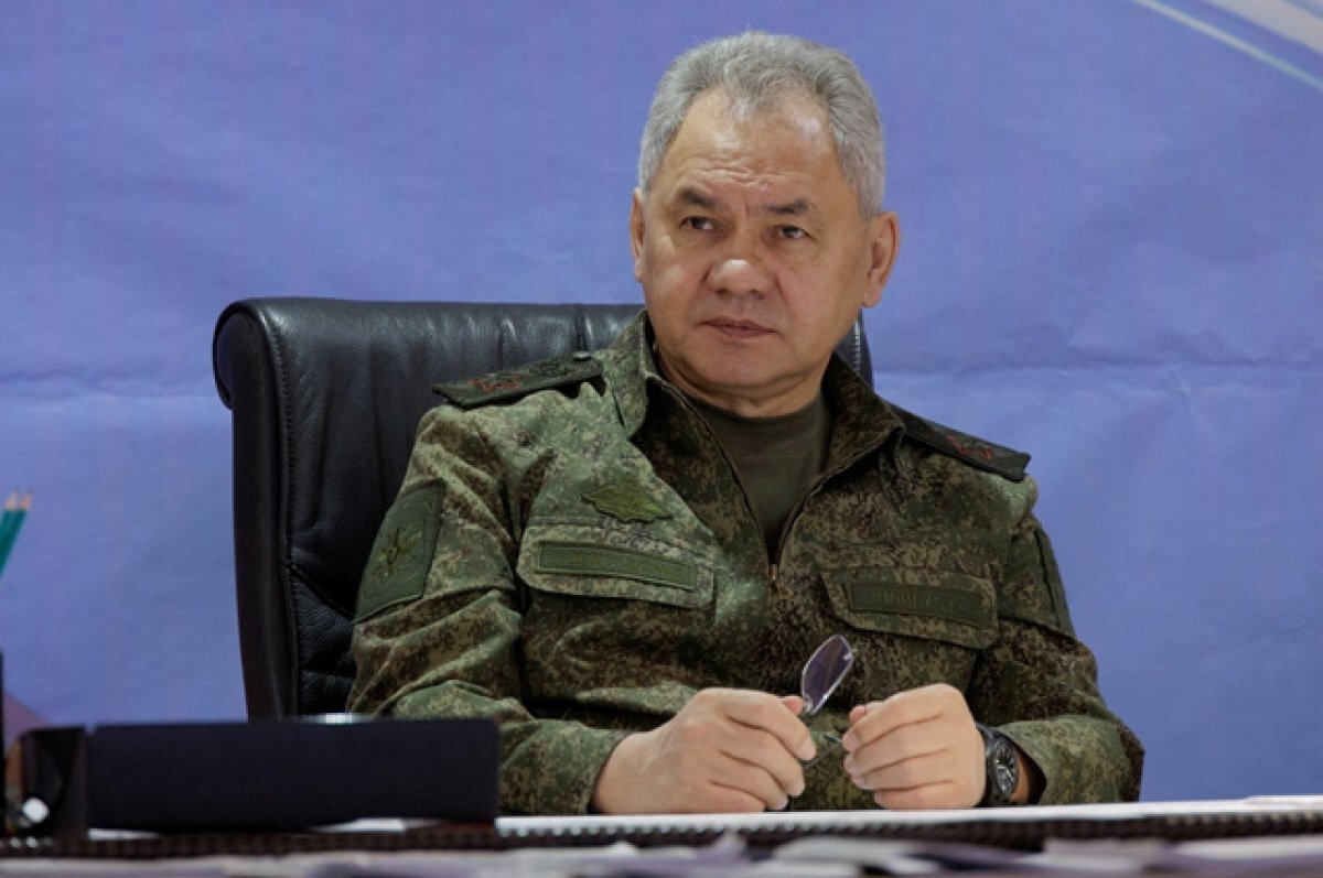    Глава Минобороны России Сергей Шойгу.