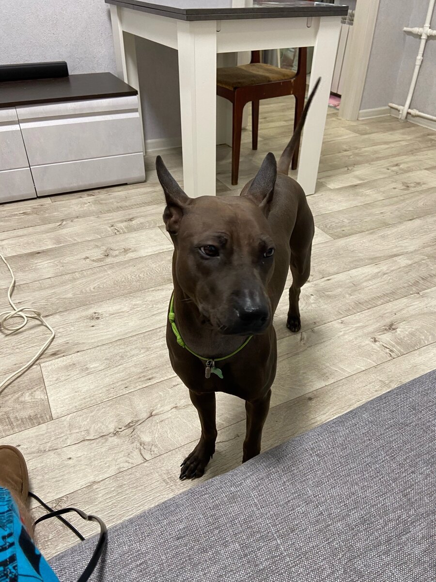 Фото автора. 