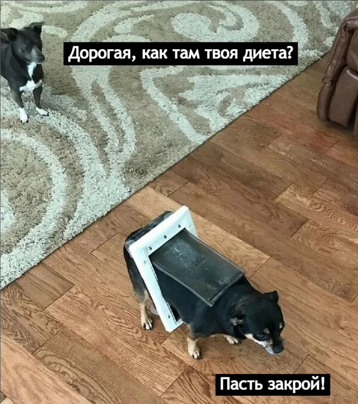 фото из открытых источников интернет