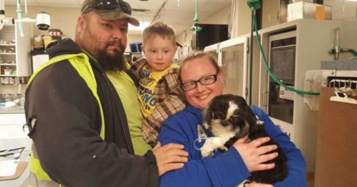В клинике. Источник фото: https://www.universoanimali.it/veterinario-sopprime-erroneamente-la-cagnolina-che-combatte-per-sopravvivere-contro-ogni-previsione/