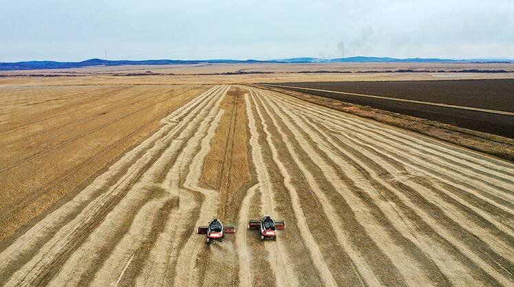    Юрий Смитюк/ТАСС