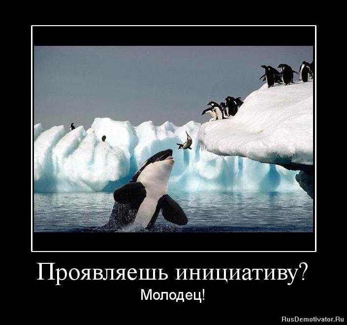 источник Яндекс-картинки