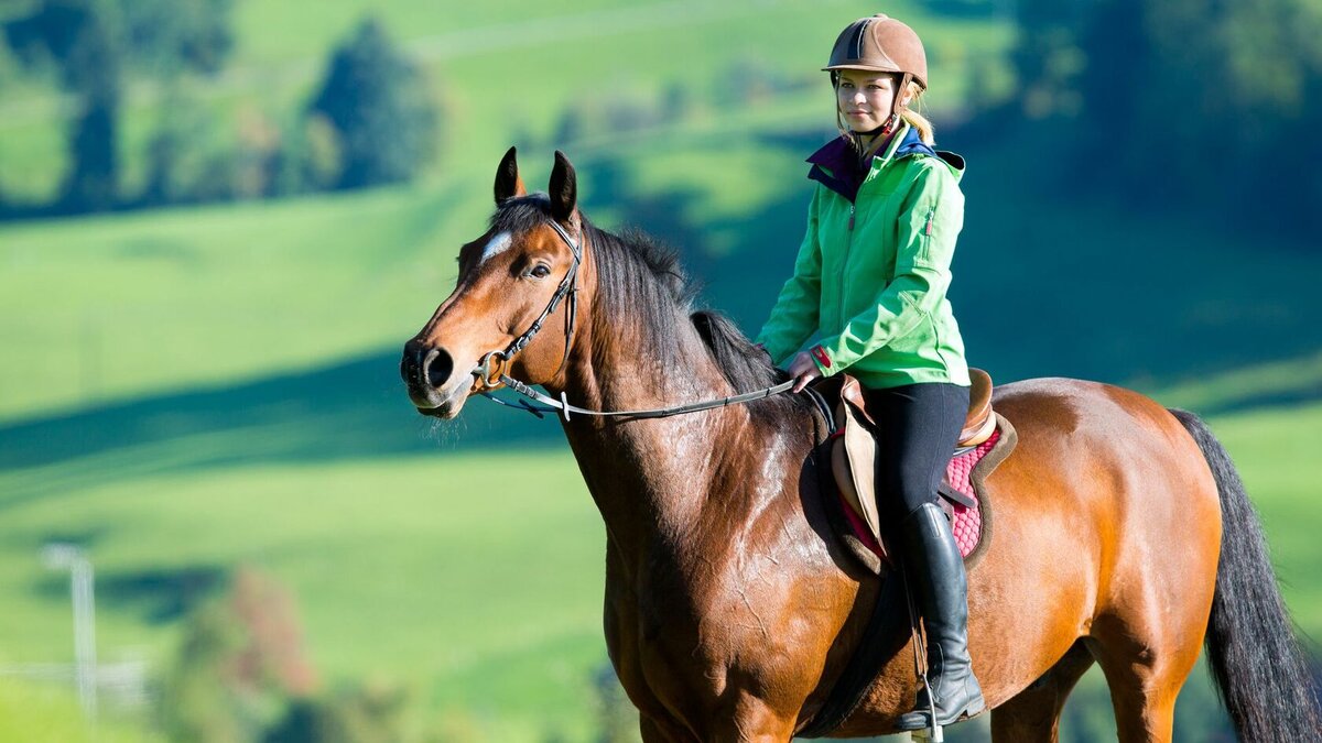 Спорт конный, изображение из интернета