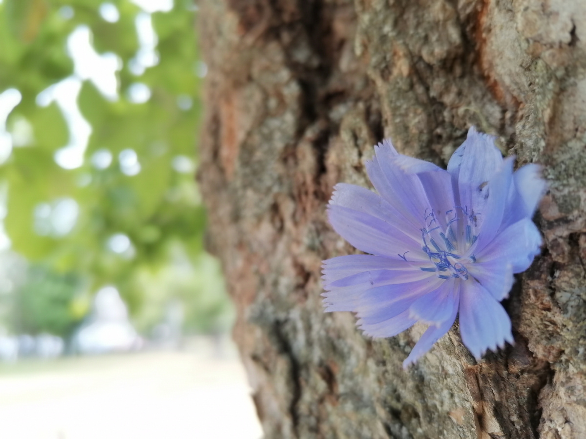 Авторское фото 