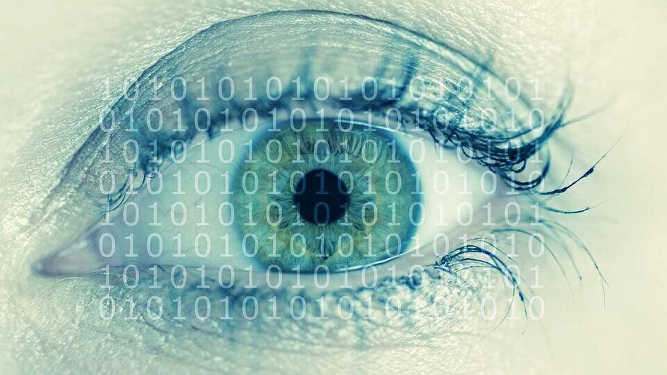 Фото: © Global Look Press/imagebroker/Simon Belcher